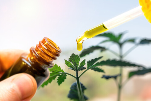 CBD For Bacterial Infections